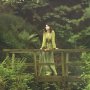 The design collection - Louisa Harding